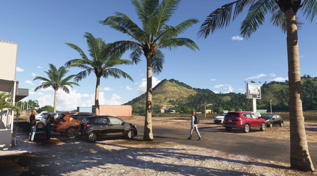 TFFG - St. Martin - Grand Case Airport MSFS20/24