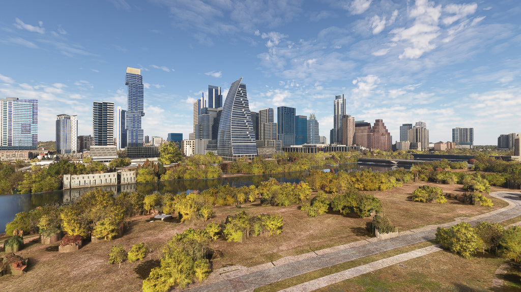 Austin Modern City MSFS20/24