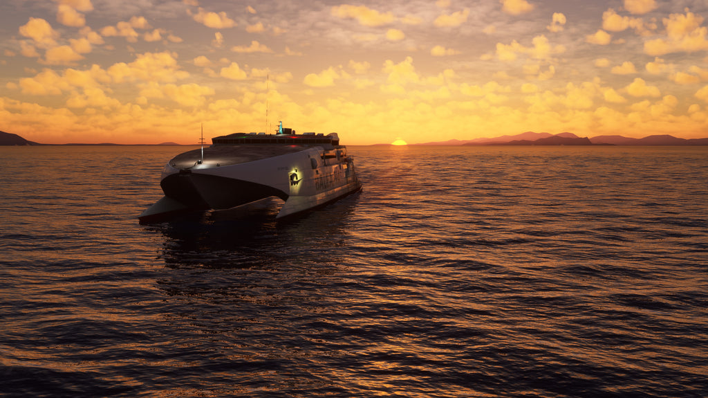 Vessels: The Balearic Islands MSFS