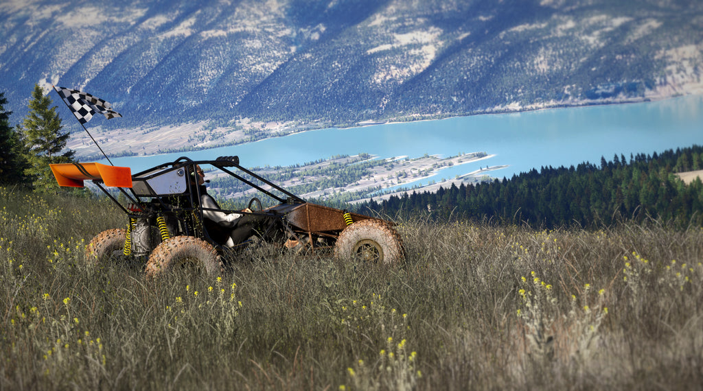 Project Crosskart MSFS