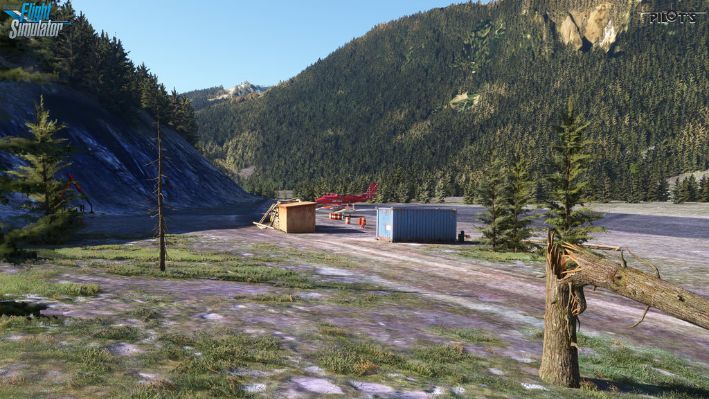 CBH4 - Prairie Creek Airport MSFS20/24