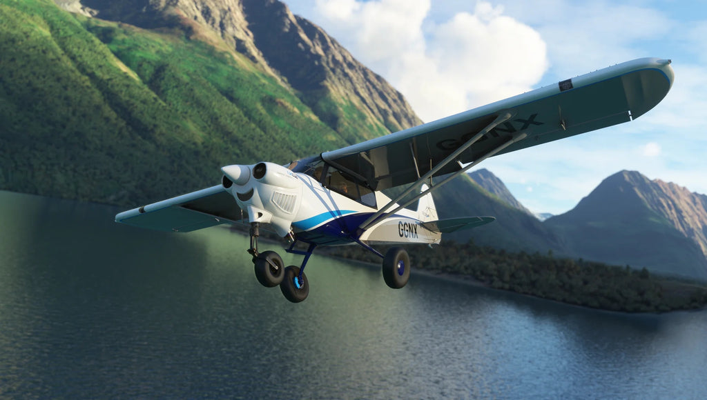 MonsterNX Cub MSFS20/24