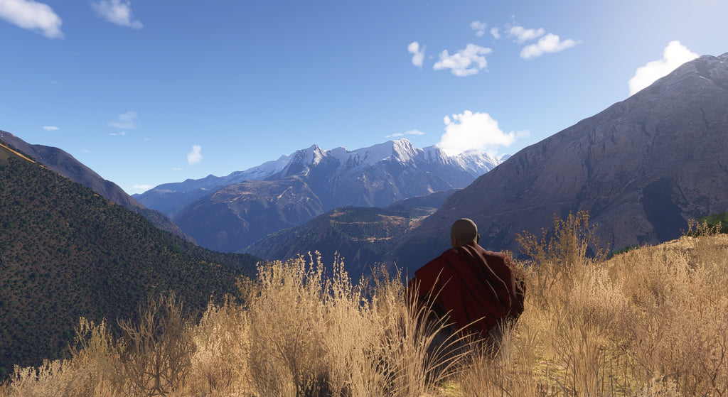 Mt. Everest Airports Vol.3 MSFS24