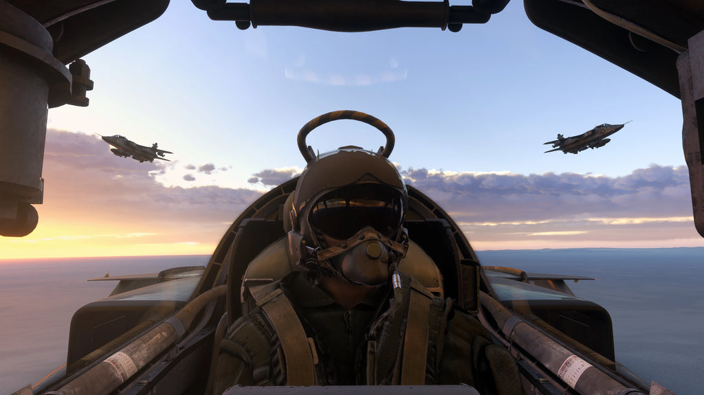 SEPECAT Jaguar MSFS20/24