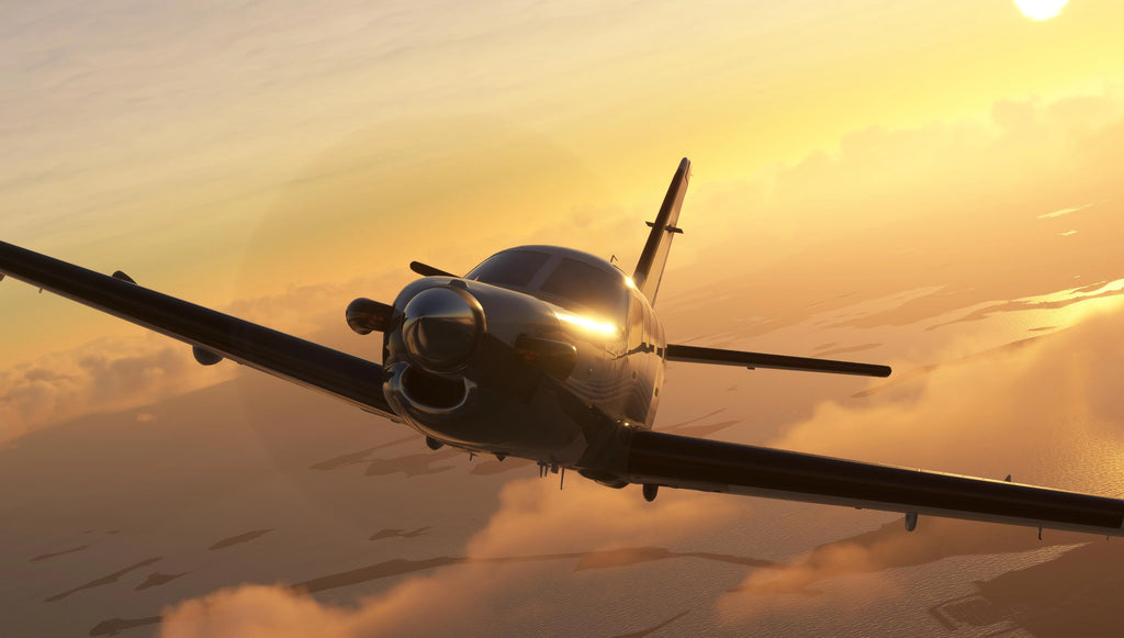 TBM 850 MSFS20/24