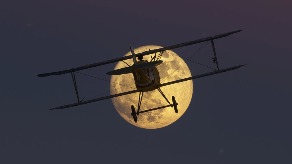 Albatros D.III O.A.W MSFS20/24