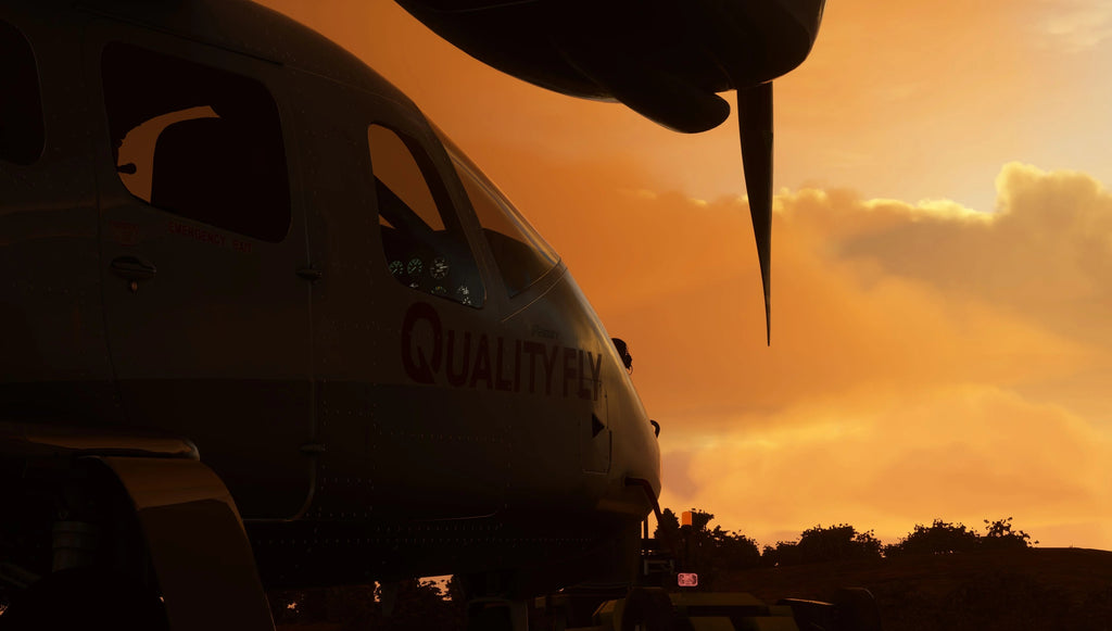 Tecnam P2006T Analog MSFS