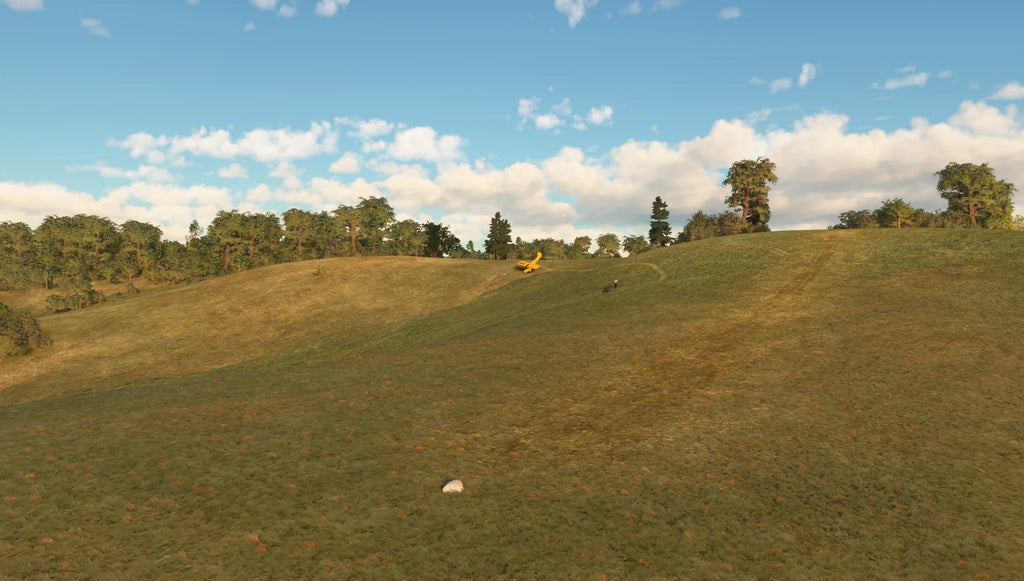 Bluffers Hill MSFS