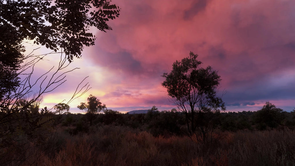 Weather Preset Pro v2 FS24
