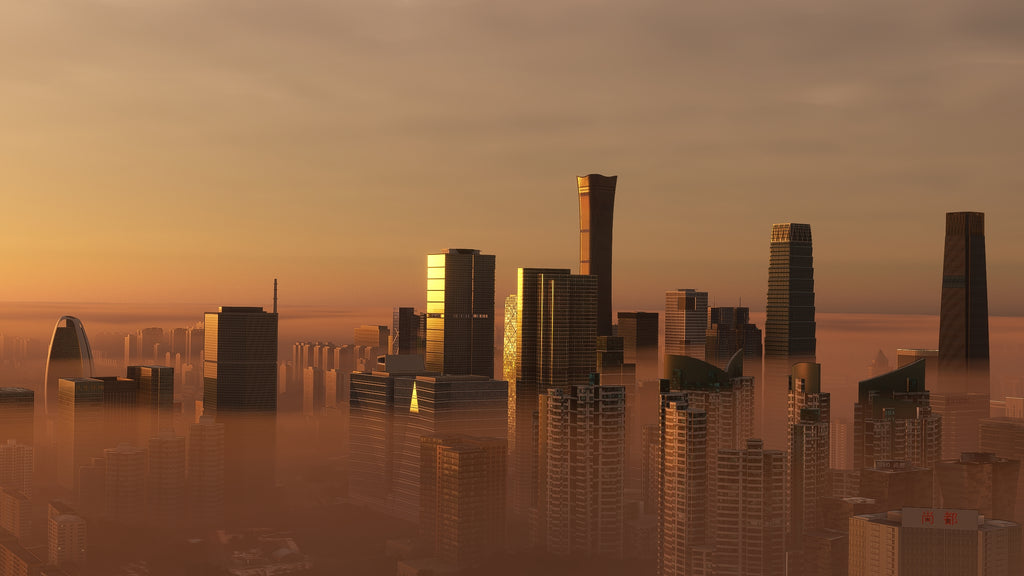 Beijing City Times MSFS