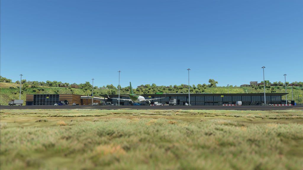 LPPD - Ponta Delgada MSFS