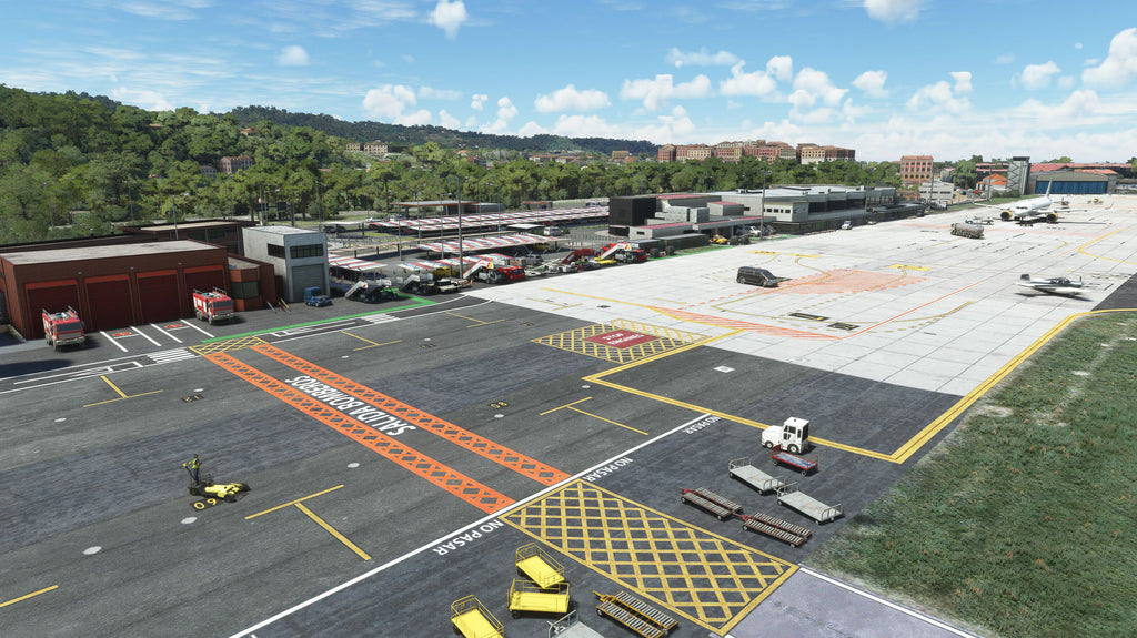 LESO - San Sebastian MSFS