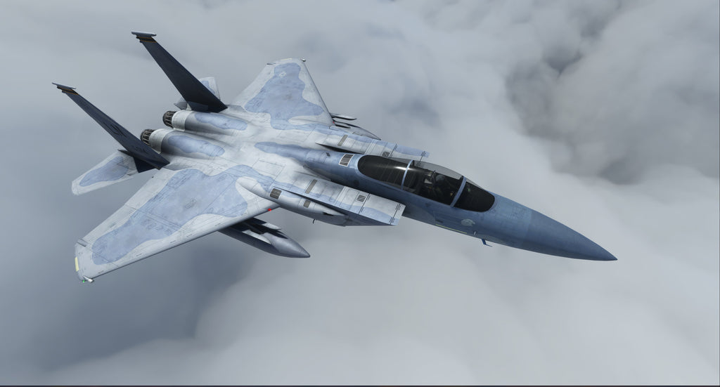 F-15 C, D, E & I Eagle MSFS
