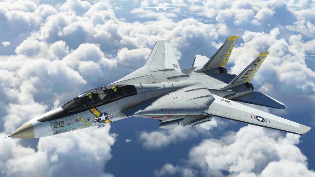 F-14 A/B Tomcat MSFS