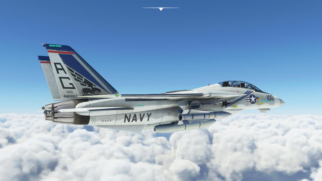 F-14 A/B Tomcat MSFS