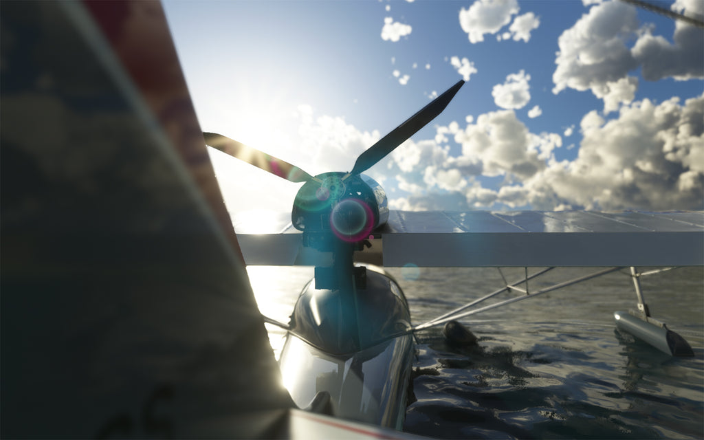 SeaRey Elite - Light MSFS