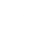 FlyBoy Simulations Logo