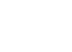 FlyBoy Simulations
