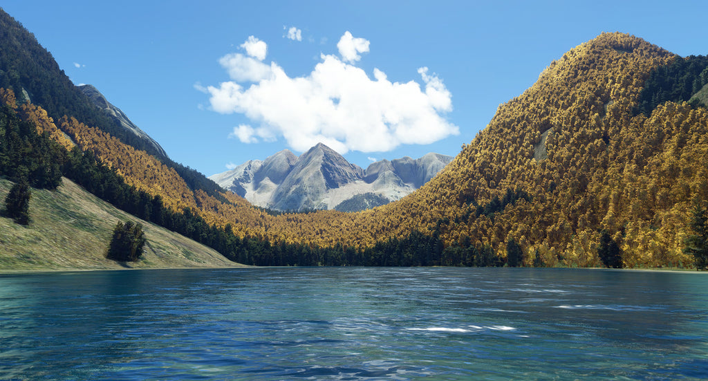 AccuSeason Advanced Edition MSFS