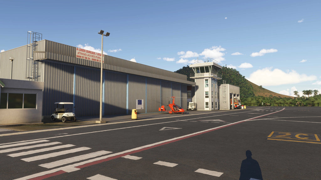 TFFG - St. Martin - Grand Case Airport MSFS20/24