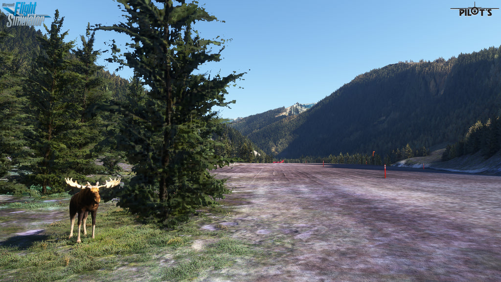 CBH4 - Prairie Creek Airport MSFS20/24