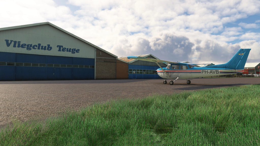 Netherlands C172 Mega Livery Pack MSFS