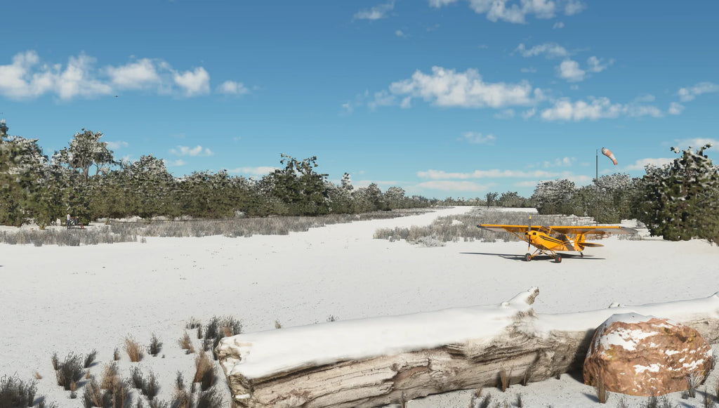 Cedar Mountain MSFS