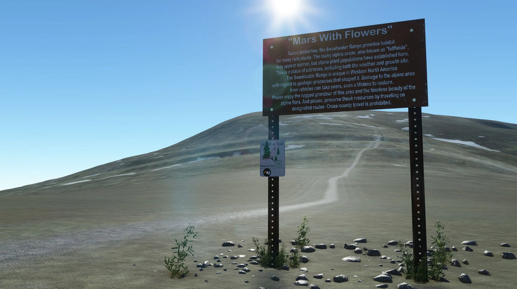 Mount Patterson Camps MSFS