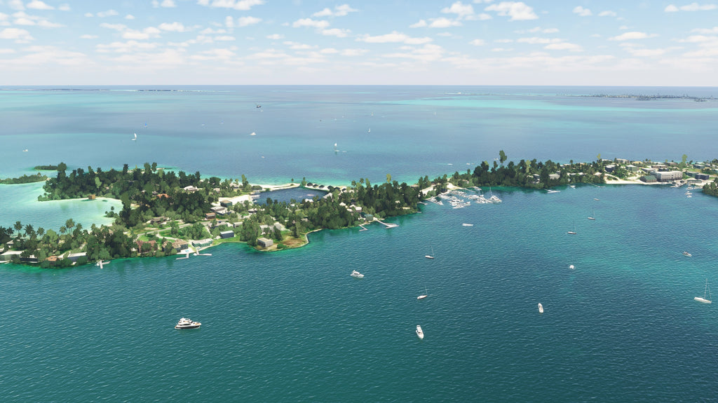 Vessels: The Bahamas MSFS