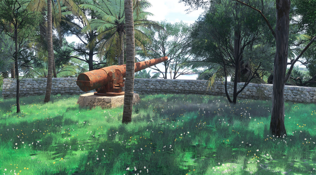 Bora Bora Improvement Project MSFS24