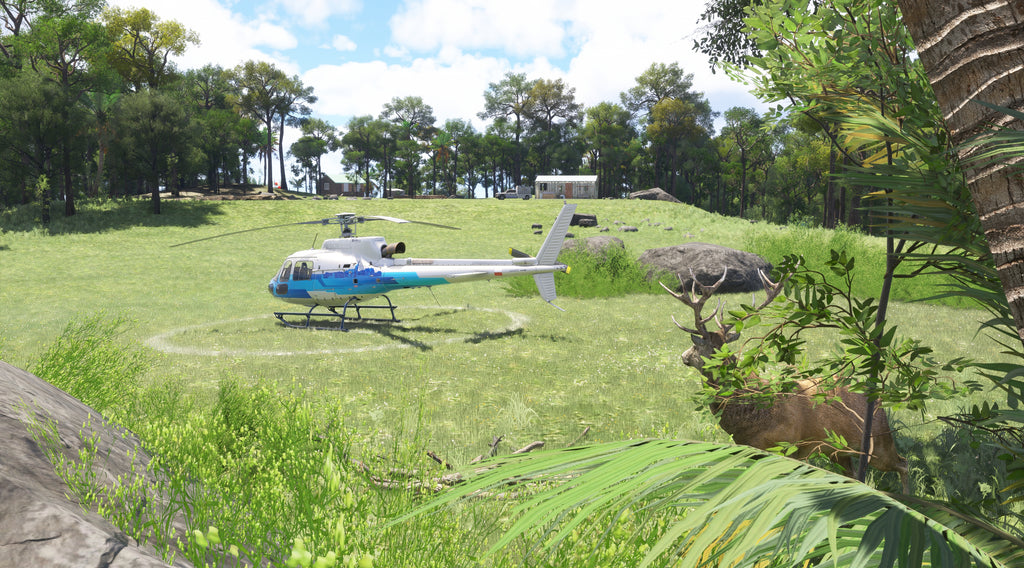 Philippines: A Tropical Adventure MSFS24
