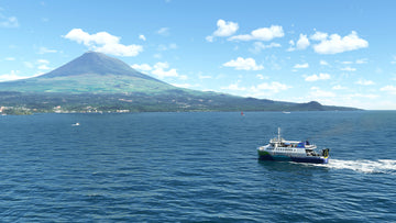 Vessels: The Azores MSFS