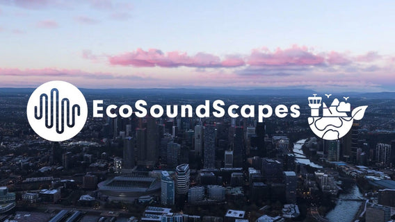 EcoSoundScapes MSFS