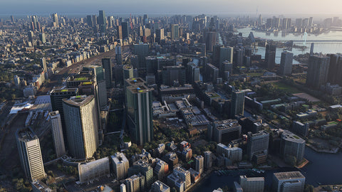 Tokyo City Times MSFS20/24