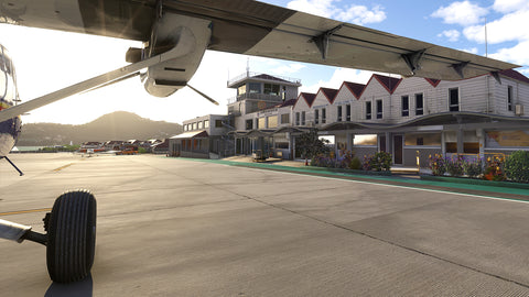 TFFJ - Saint Barthélemy Airport MSFS20/24