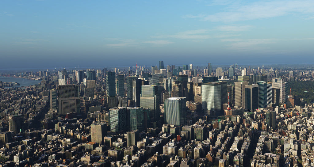 Tokyo City Times MSFS20/24