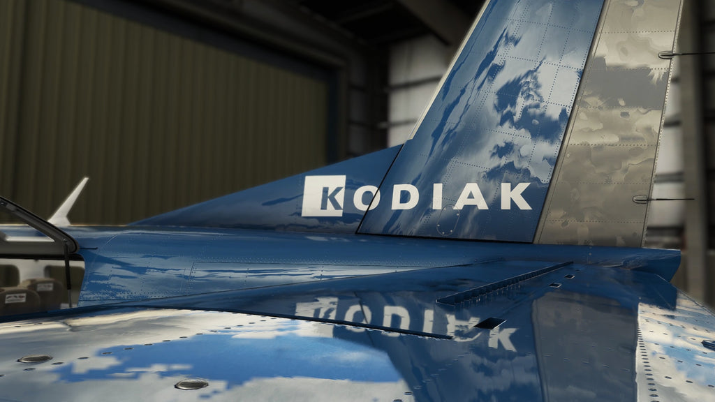 Kodiak 100 Amphibian MSFS
