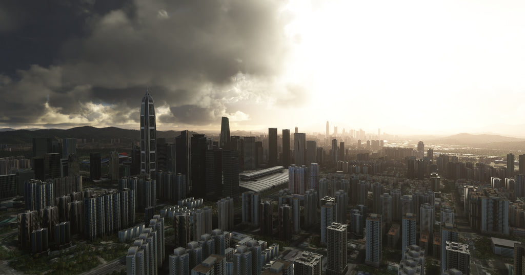 Shenzhen China MSFS