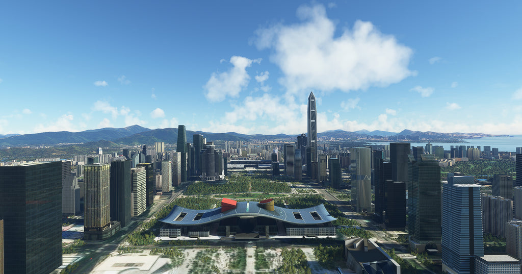 Shenzhen China MSFS