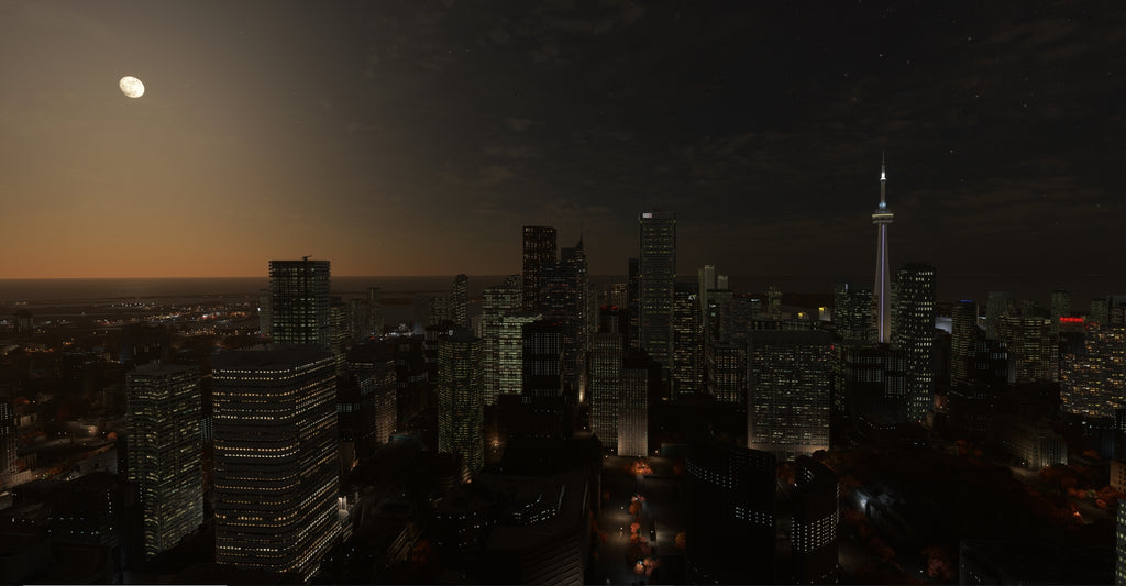 Toronto City Times MSFS