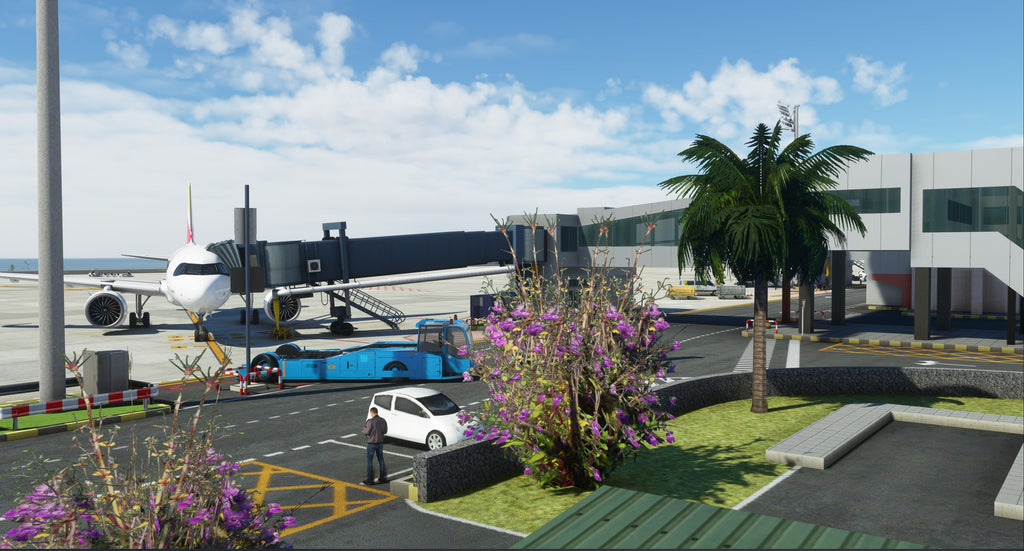 GCTS - Tenerife South Airport MSFS