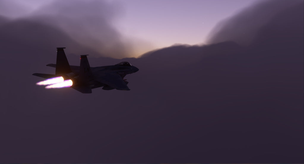 F-15 C, D, E & I Eagle MSFS