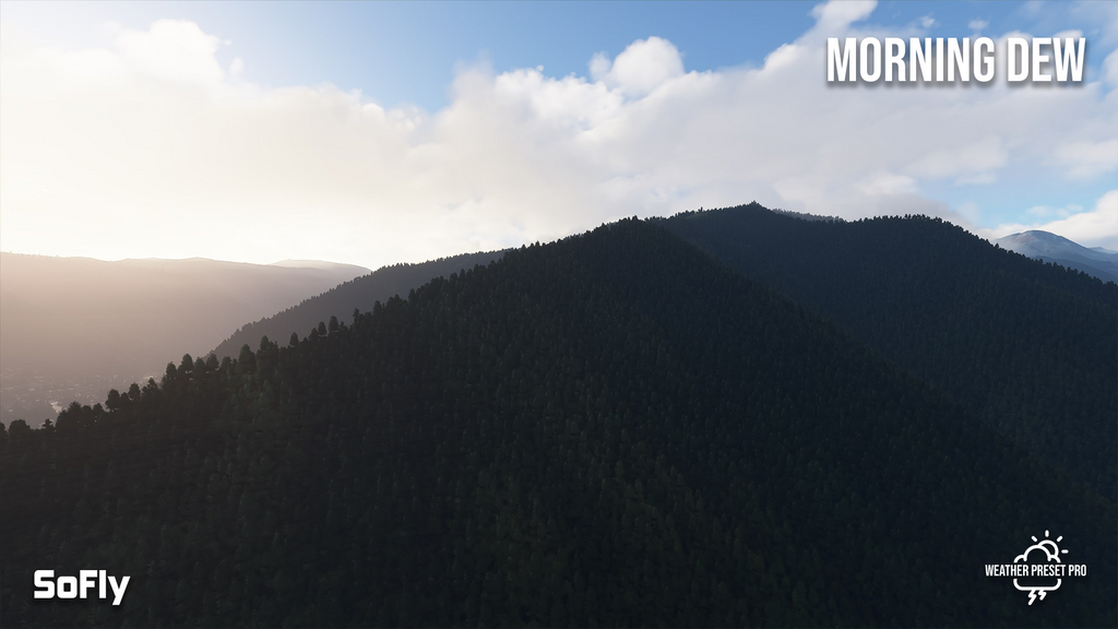 Weather Preset Pro MSFS