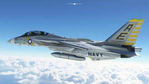F-14 A/B Tomcat MSFS